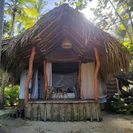 パロミノ Nueva Onda Bed & Breakfast エクステリア 写真