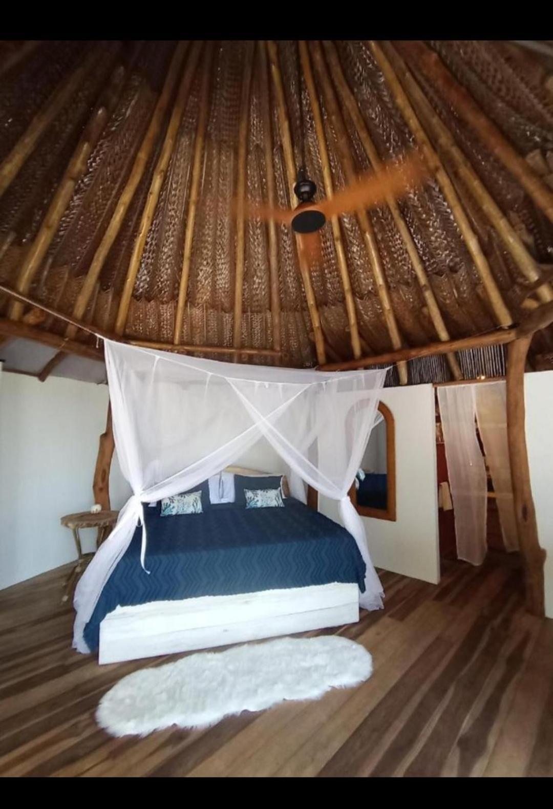 パロミノ Nueva Onda Bed & Breakfast エクステリア 写真