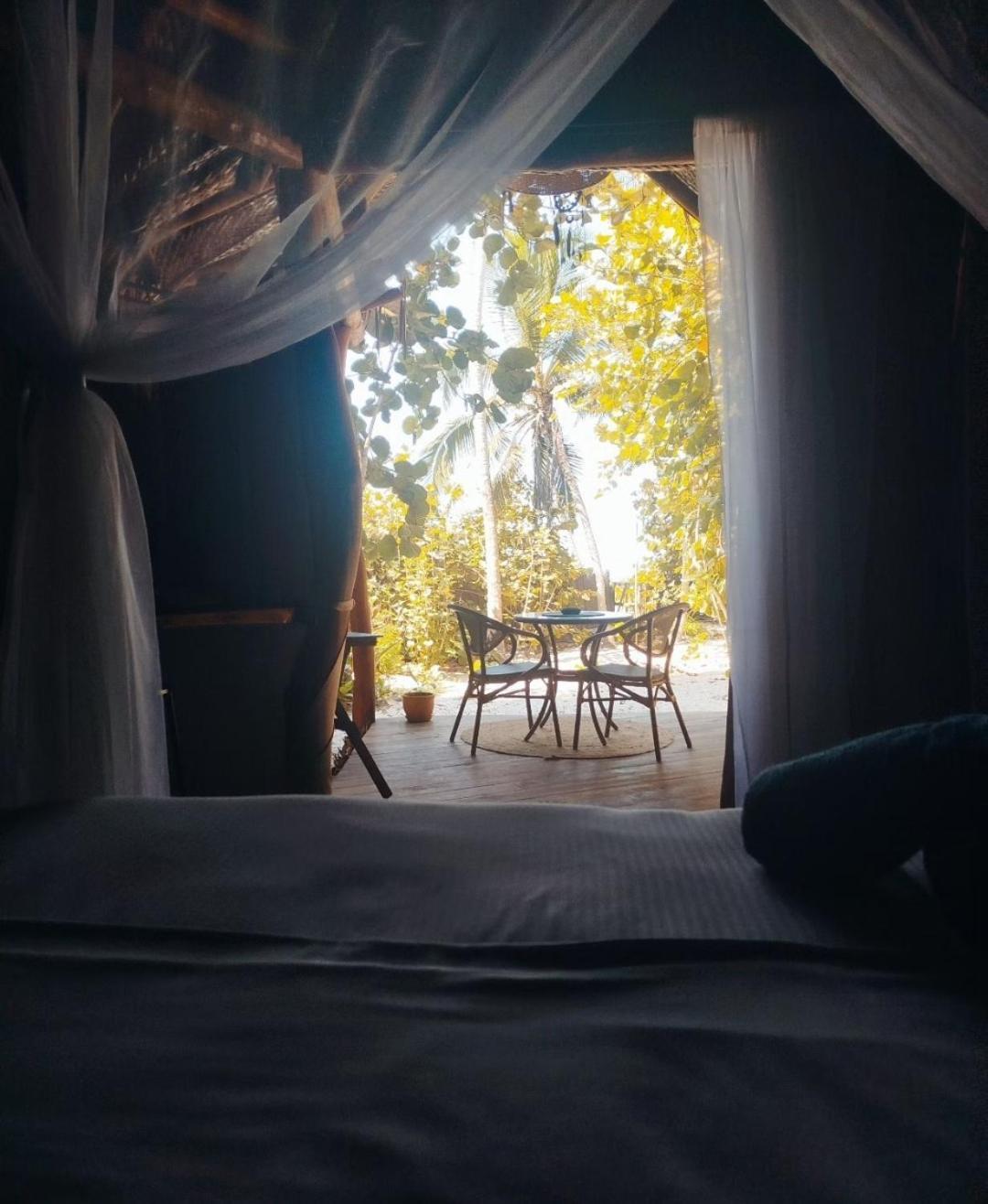 パロミノ Nueva Onda Bed & Breakfast エクステリア 写真