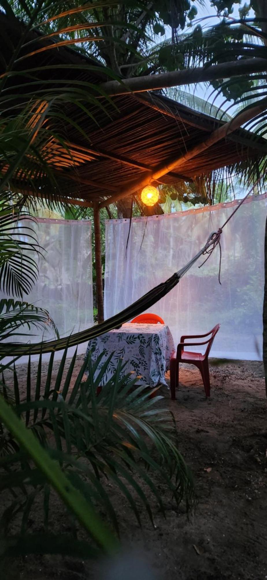 パロミノ Nueva Onda Bed & Breakfast エクステリア 写真