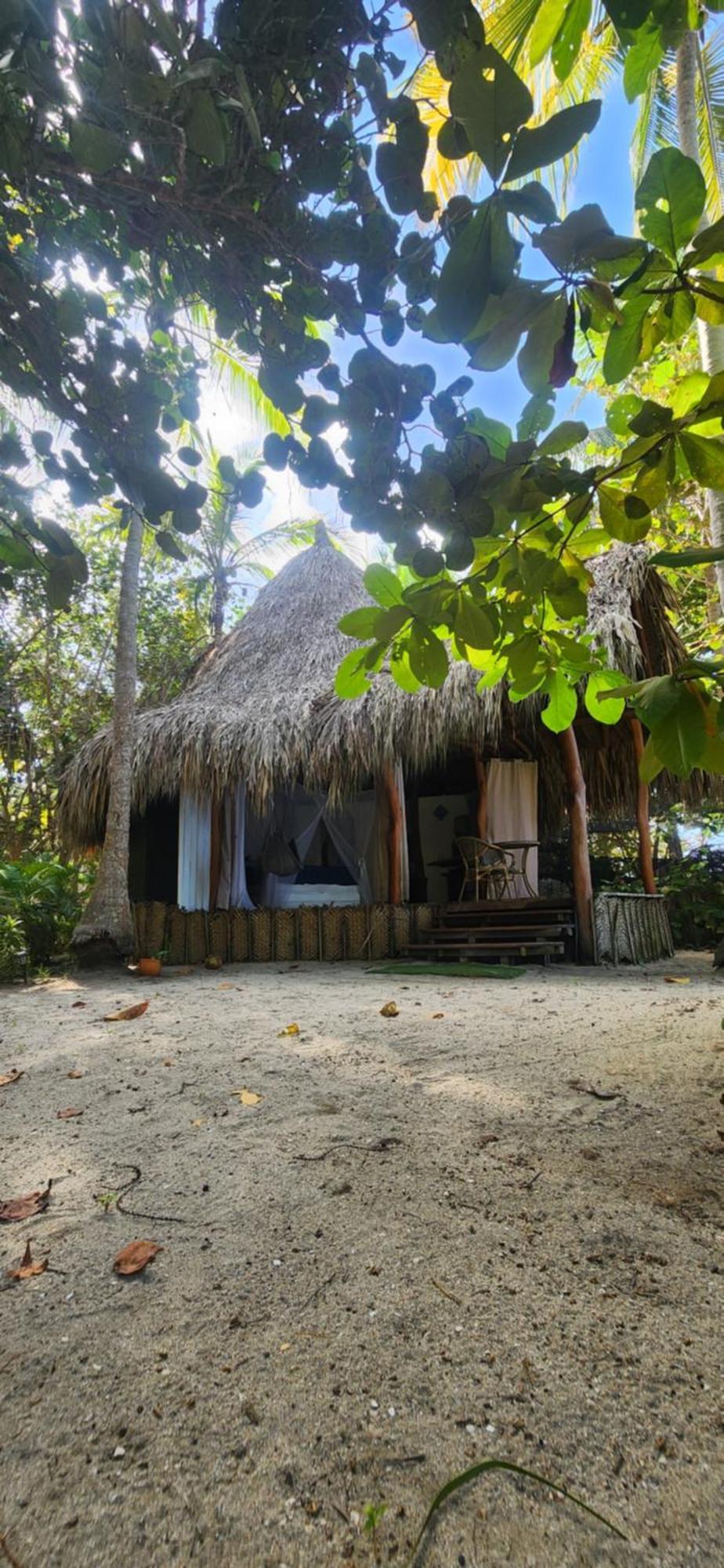パロミノ Nueva Onda Bed & Breakfast エクステリア 写真